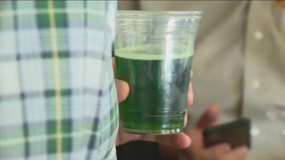 Ways to celebrate St. Patrick's Day in Chicago