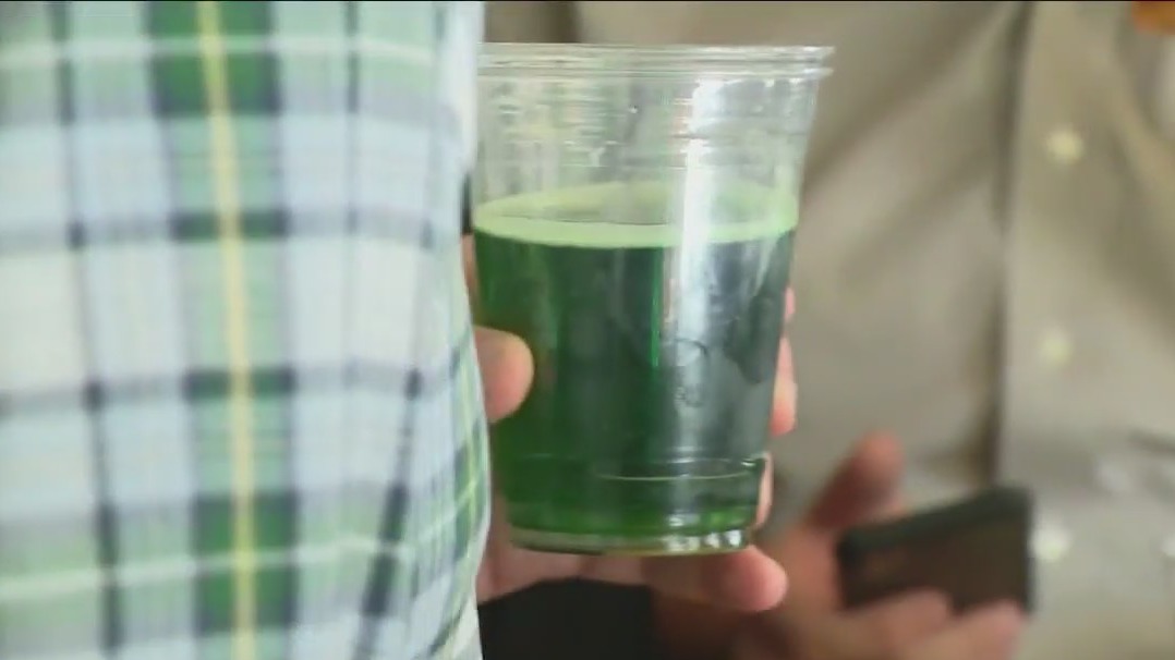 Ways to celebrate St. Patrick's Day in Chicago