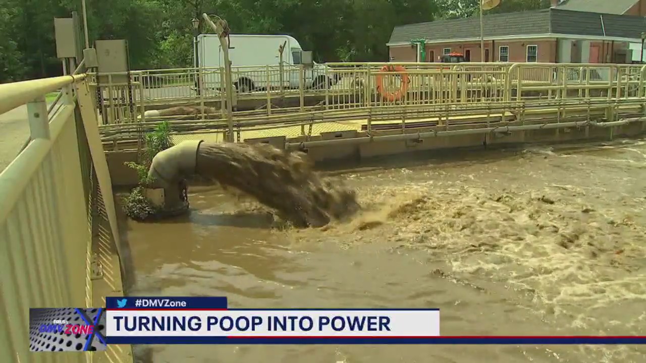 Turning poop into power for Ride-On buses