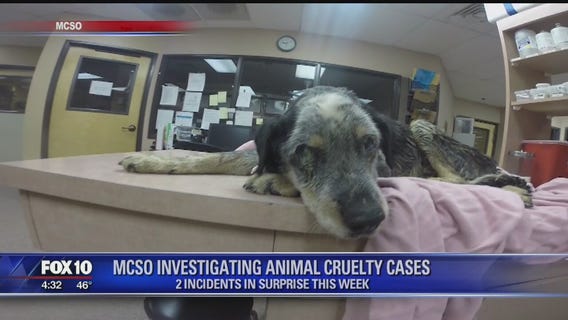 Deputies find 2 separate cases of animal cruelty in Surprise