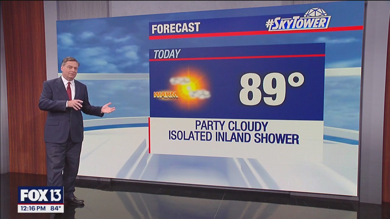 Tampa weather | Partly cloudy and warm