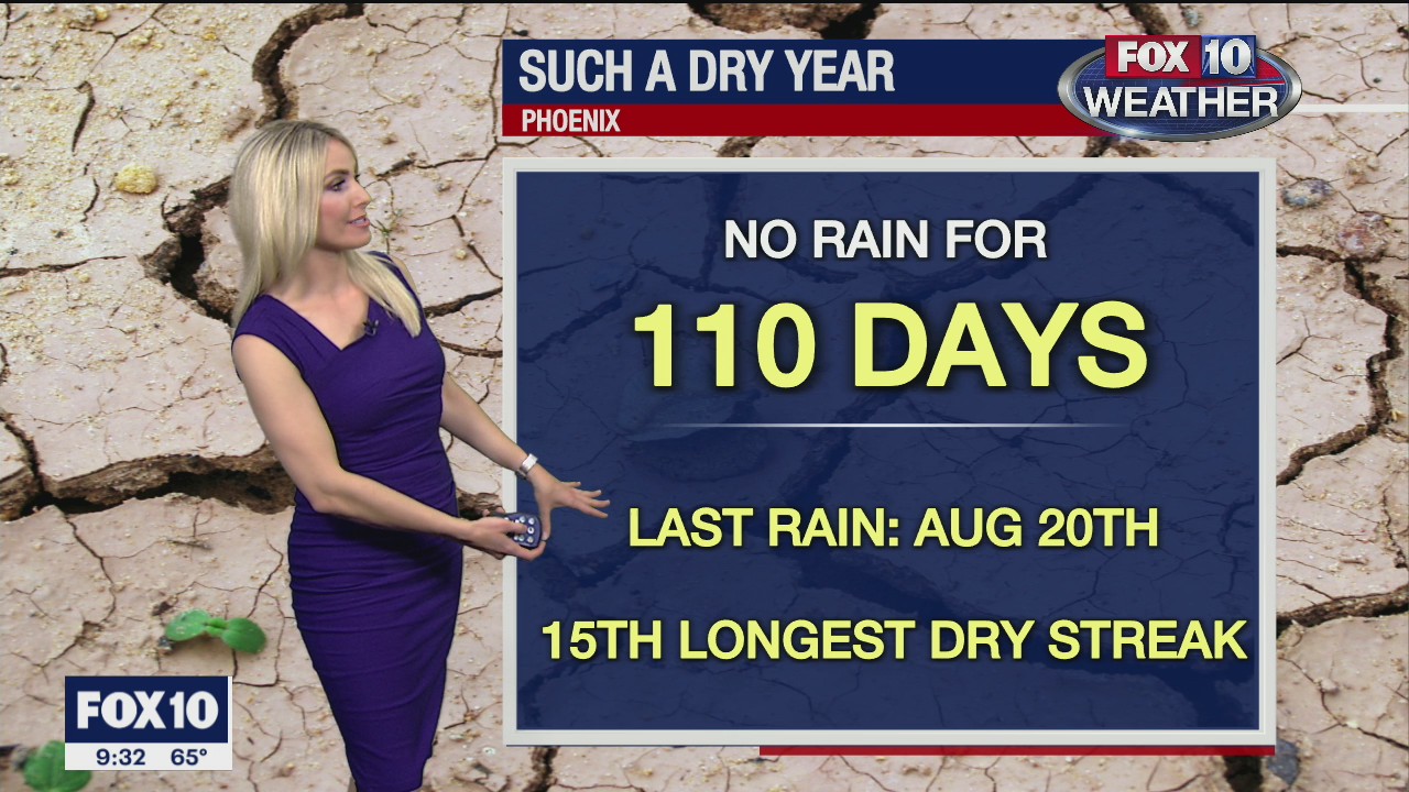 Evening Weather Forecast - 12/8/20