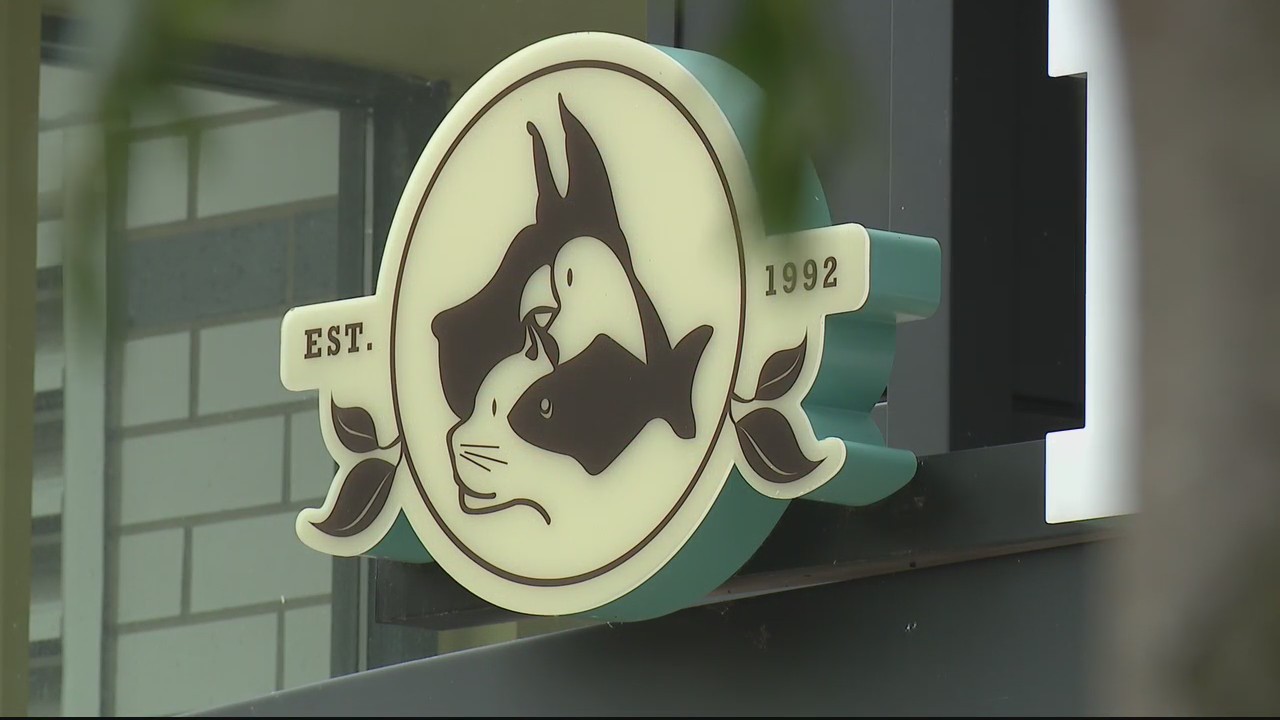 Summer may be winding down, but outdoor allergies are still here for your pets