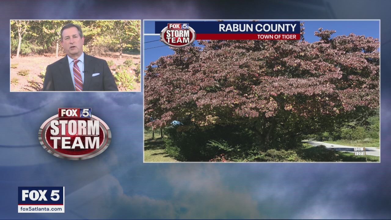 Fall leaves update - Oct. 6, 2022 | FOX 5 Atlanta