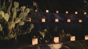 Thousands of twinkling lights, live music for holidays at Desert Botanical Gardens