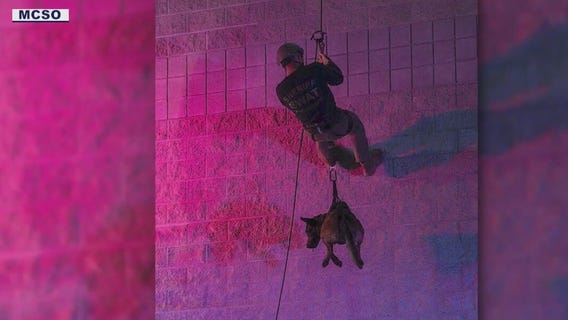 MCSO K-9 deputy 'Kimbo' passes away