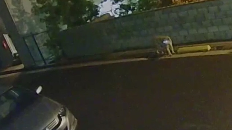 Man has close encounter with mountain lion P-22