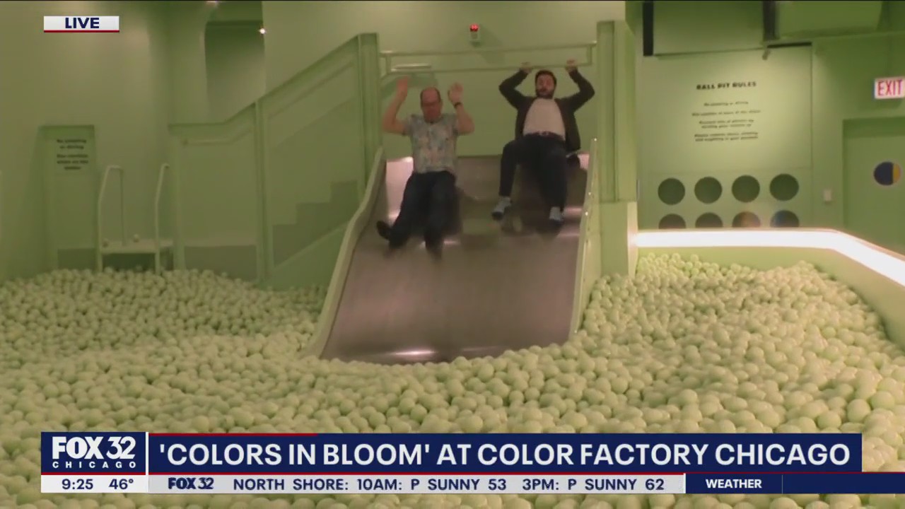 Celebrating the joy of color