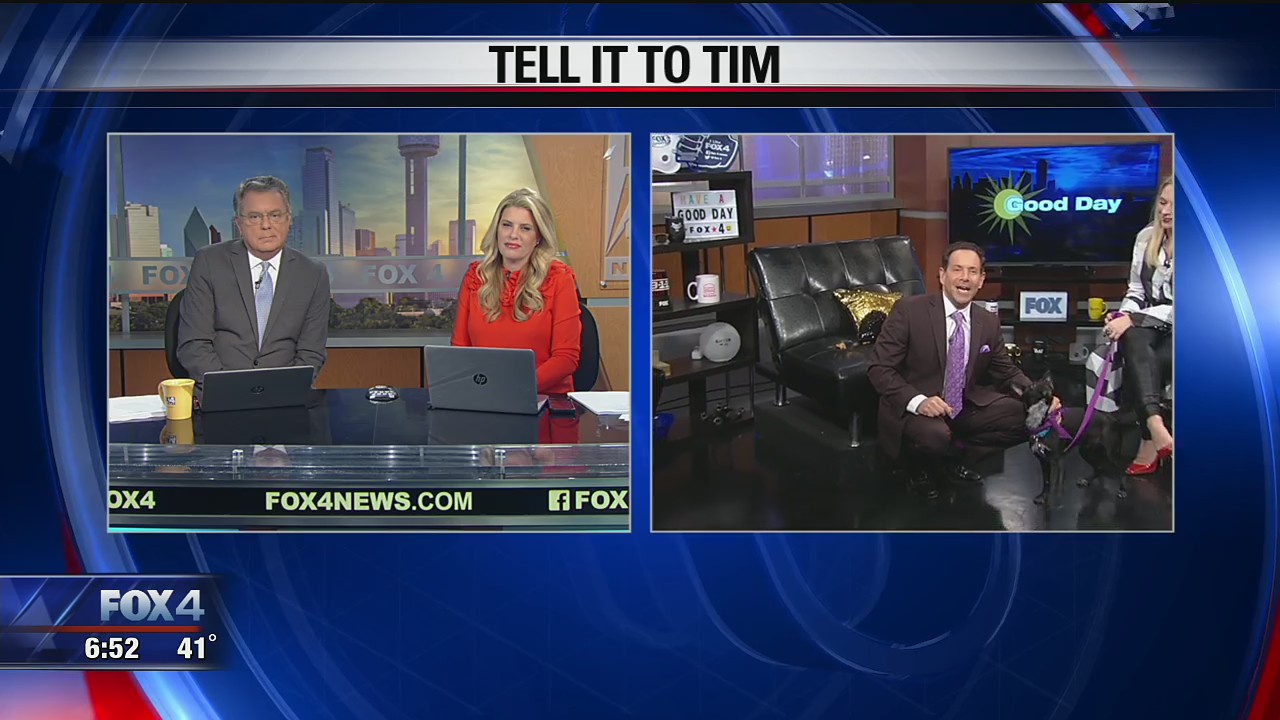 Tell It To Tim: Evan and the Dog of the Day