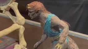 Museum of Miniatures highlights special effects artist