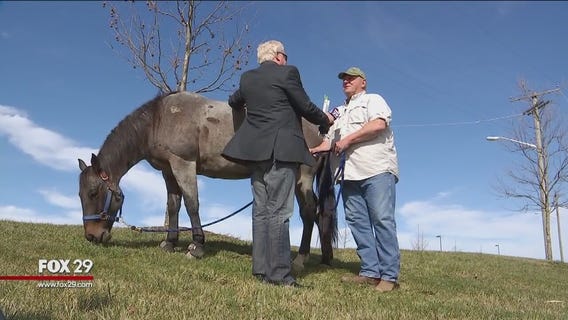 FOX 29 Investigates: Dream Park soil raises questions, concerns