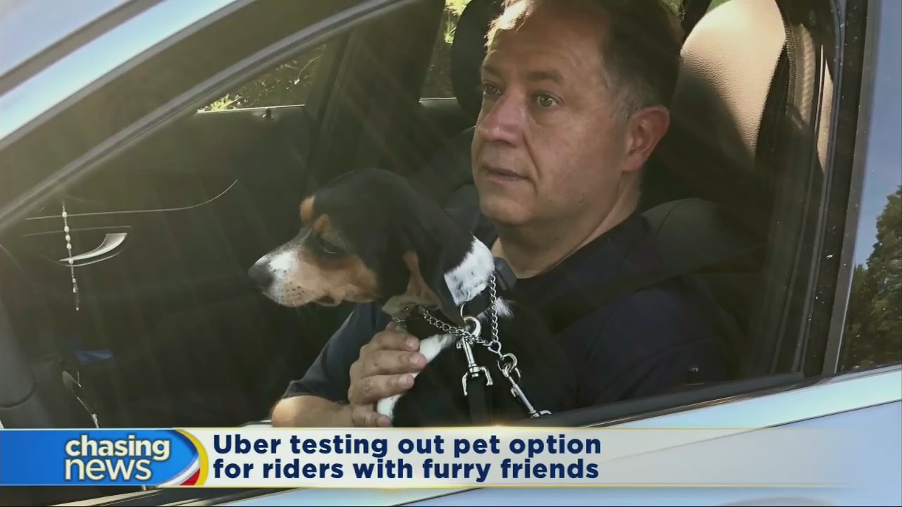 Uber testing pet option in select cities