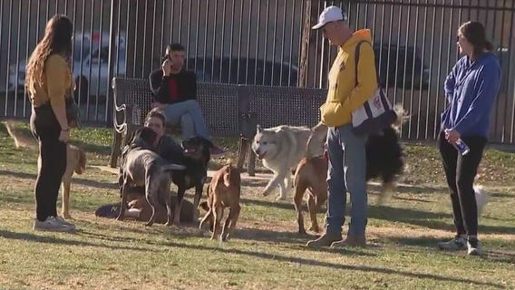 Pets and pipes at risk during winter Freeze Warning