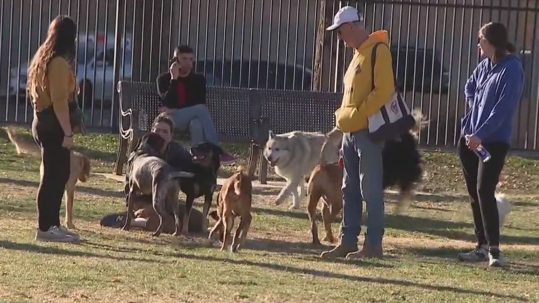 Pets and pipes at risk during winter Freeze Warning