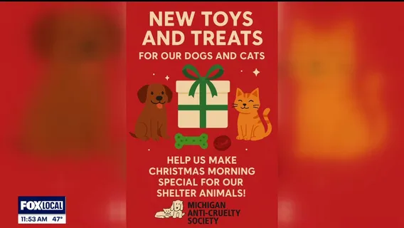 Michigan Anti-Cruelty Society hosting toy drive for the holidays