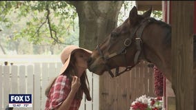 Fur to feather therapy for the people who need it most