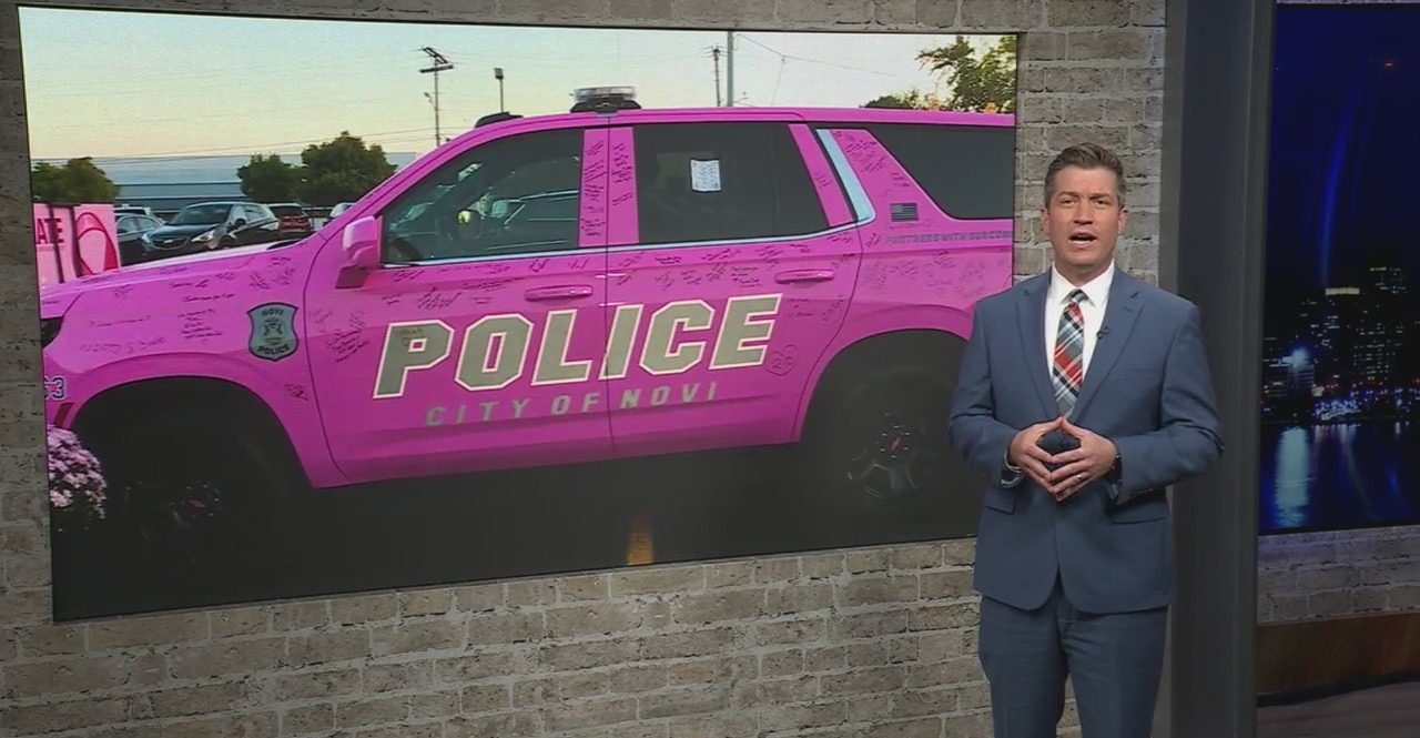 FASTLANE: TeSlaa drives a Ford, Novi cruiser pink out for breast cancer and more automotive news
