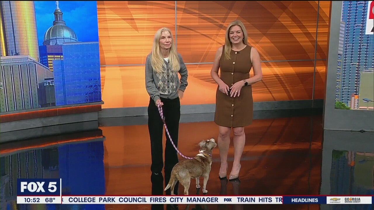 Meet Ruth, GDA's Pet of the Day