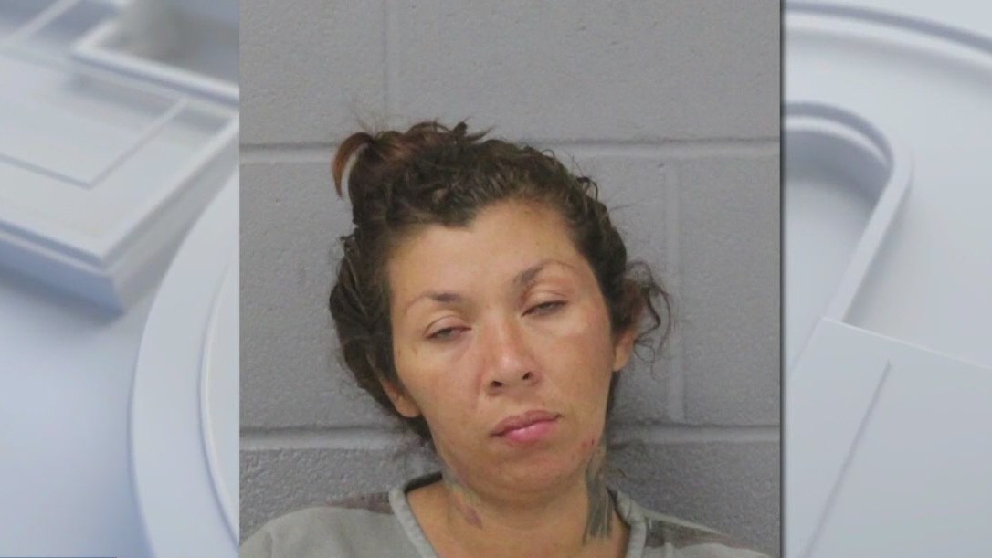 Woman attacks another woman with pole: docs