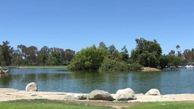 Coyote attacks 2-year-old girl at park in OC