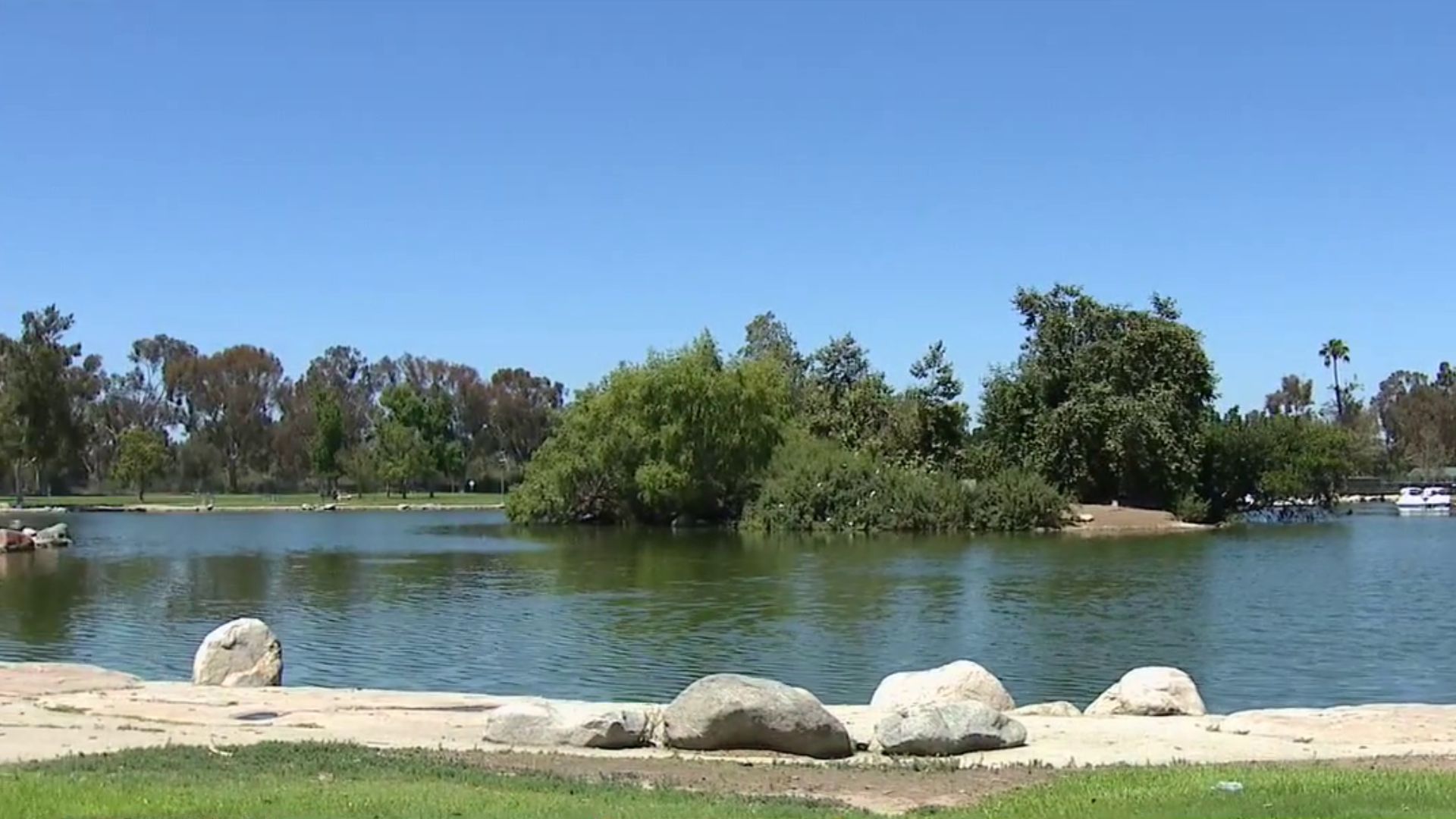 Coyote attacks 2-year-old girl at park in OC