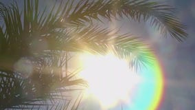 Study looks at heat's impact on internal health