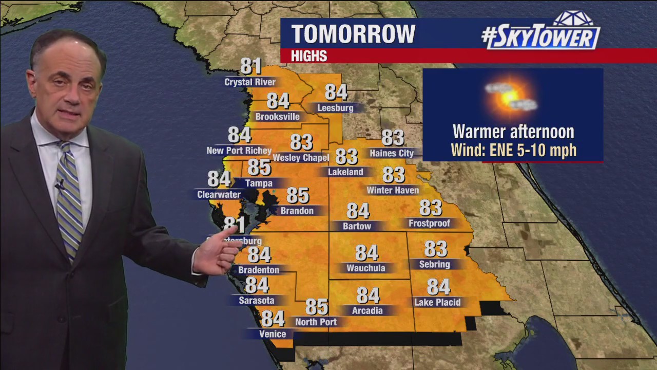 Tampa Weather | Moonlit, cool night