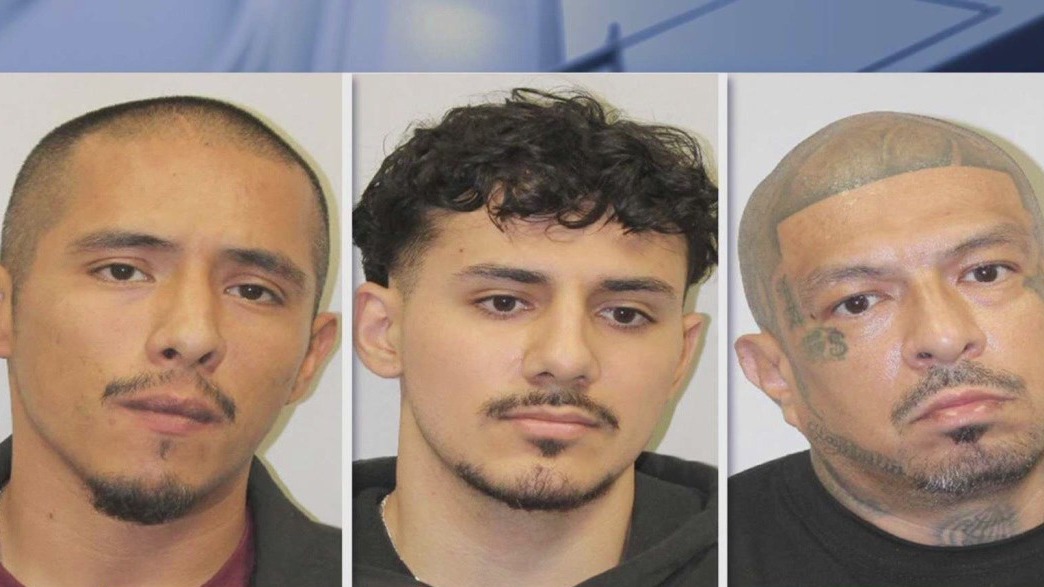 Pct. 4 authorities arrest suspected child predators in online sting