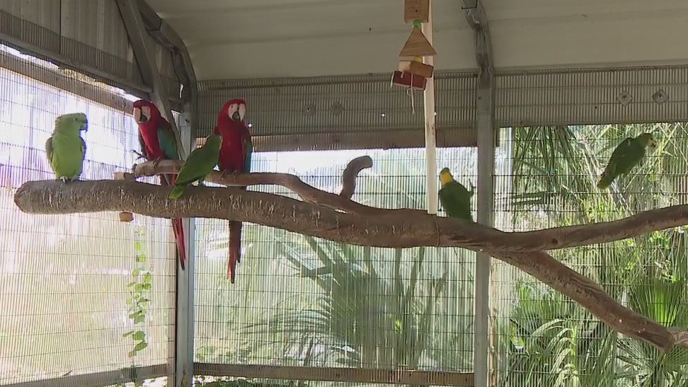 Ziggy's Haven Bird Sanctuary