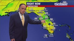 Tampa weather | Comfortable temperatures