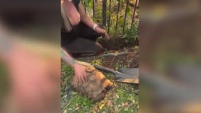 Pasadena animal rescue to close for apartments