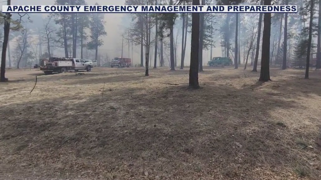 Fire near AZ-NM border prompts evacuations