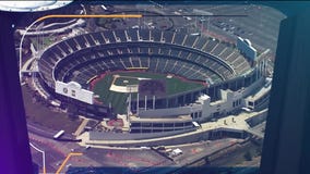 Talk of the Town: Regi Young