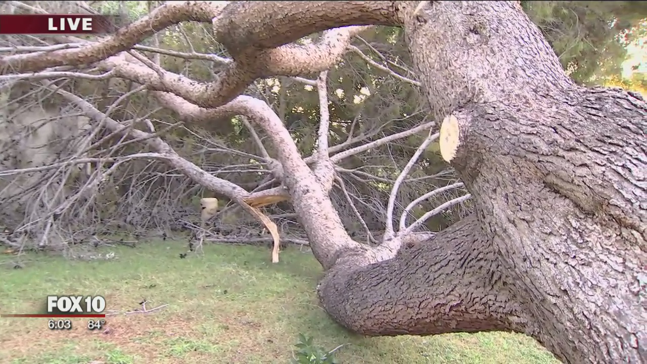 Saturday storm cleanup
