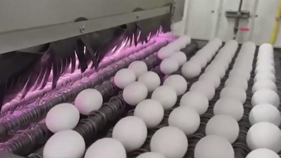 Egg price surge affects farmers, shoppers and more