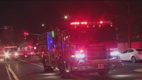 Dog dies in Oakland high-rise fire