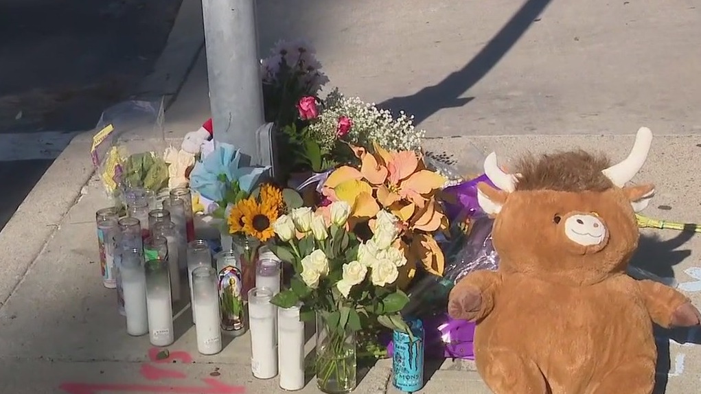 Memorial grows for boy killed by suspected drunk driver