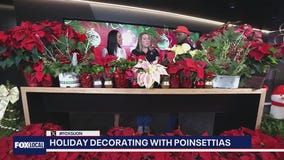 Holiday Decorating With Poinsettias