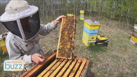 Bee Week on the Buzz: What it really takes to be a beekeeper