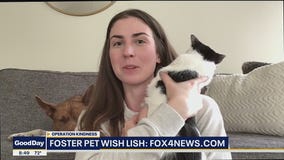 Operation Kindness Wish List for Foster Pets
