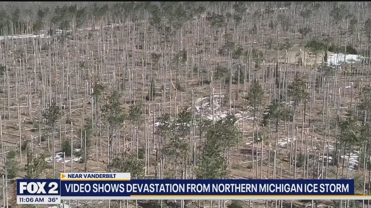 Trees stripped in Northern Michigan ice storm | FOX 2 Detroit