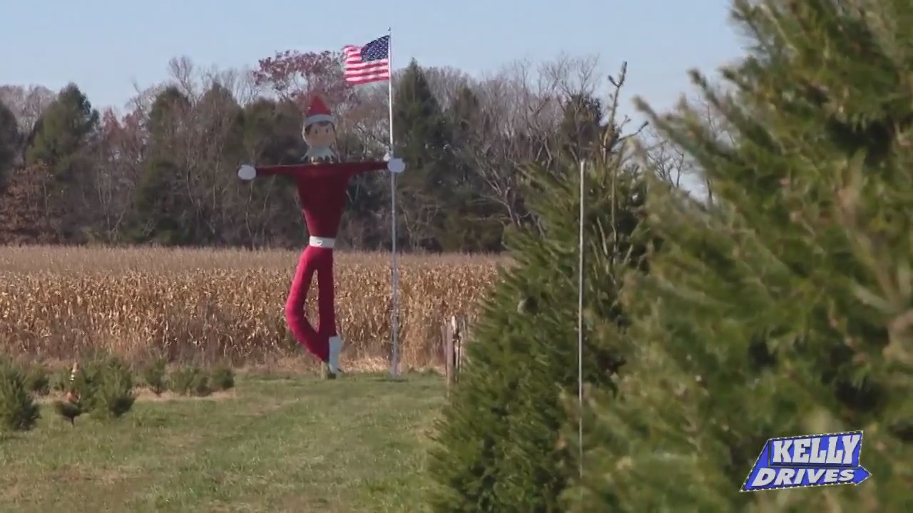 Tree trimming at Exley’s Christmas Tree Farm | FOX 29 Philadelphia