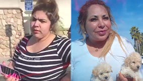 New Sick Puppy Peddlers Exposed