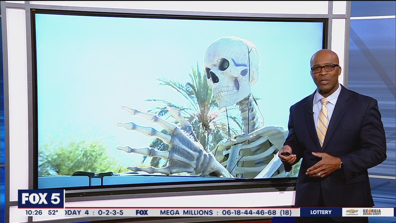 Woman's skeletal car passenger turns heads