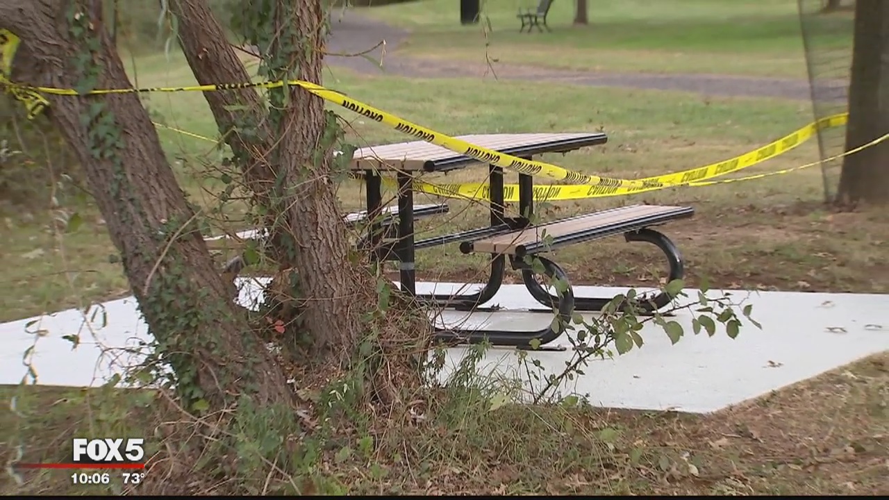 Police say Alexandria park shooting that left 2 dead, one injured was murder-suicide