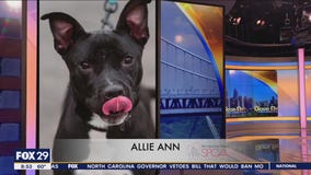 FurEver Home: Mother's Day