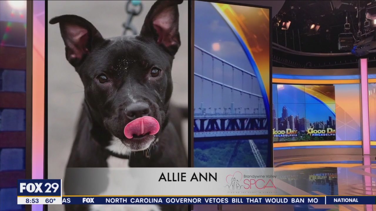 FurEver Home: Mother's Day