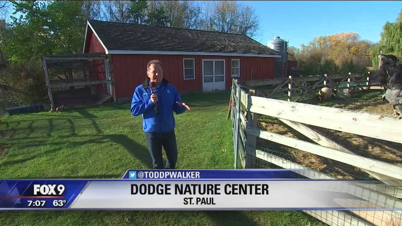 Dodge Nature Center in St. Paul celebrates fall season