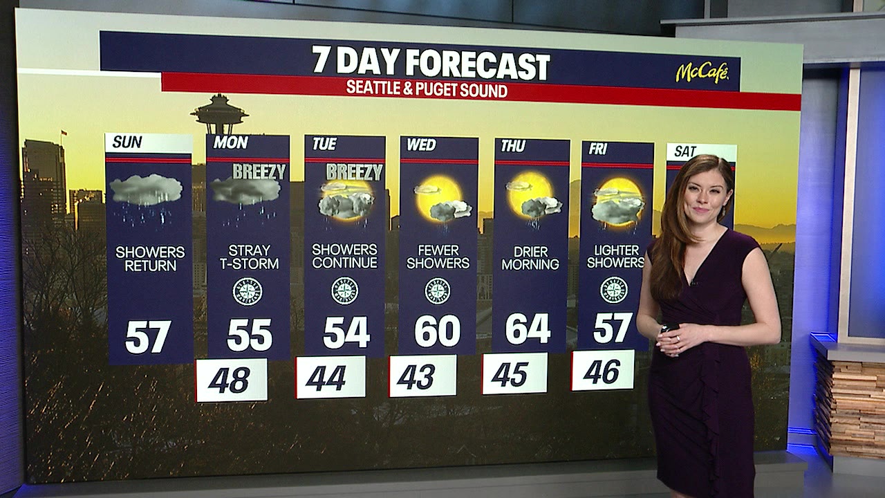 Seattle weather: Rainy, gray weather returns