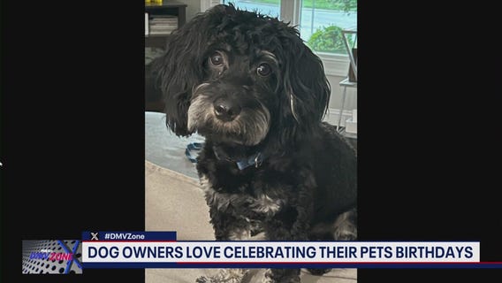 How much would you pay to celebrate your dog's birthday?